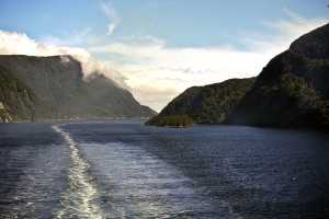 FIORDLAND-NATIONAL-PARK-2019 (248)